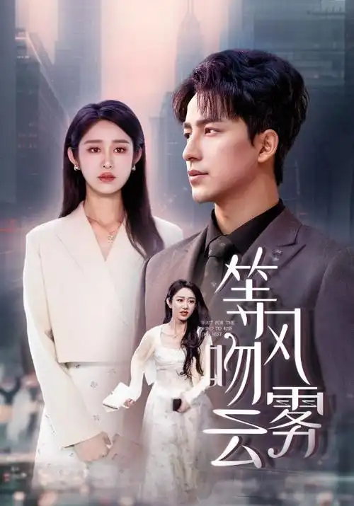 雾港谜案 热播电视剧全集在线观看